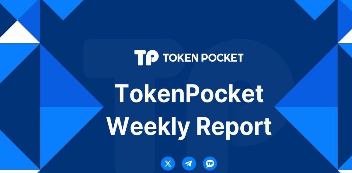 TP钱包官网与其他数字钱包的下载对比 震惊！这种token保护壳竟被警方带走调查